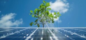 Read more about the article Silver Nanowires for Energy Storage Devices: A Paradigm Shift